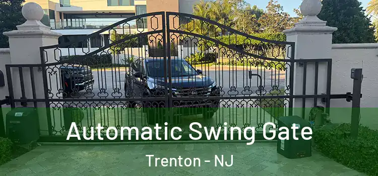  Automatic Swing Gate Trenton - NJ