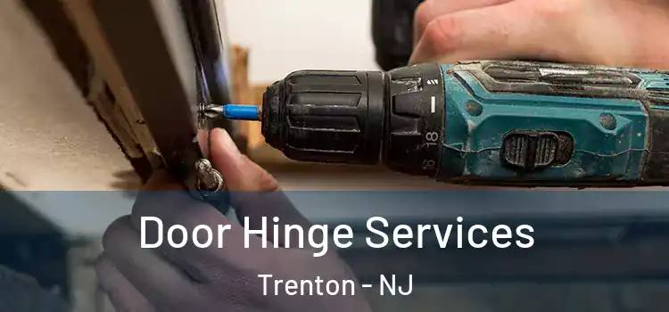 Door Hinge Services Trenton - NJ