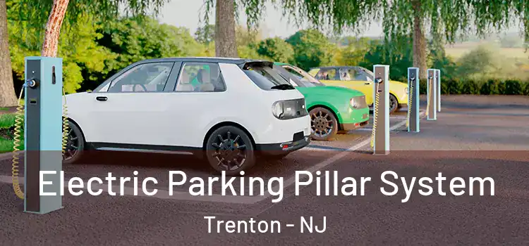  Electric Parking Pillar System Trenton - NJ