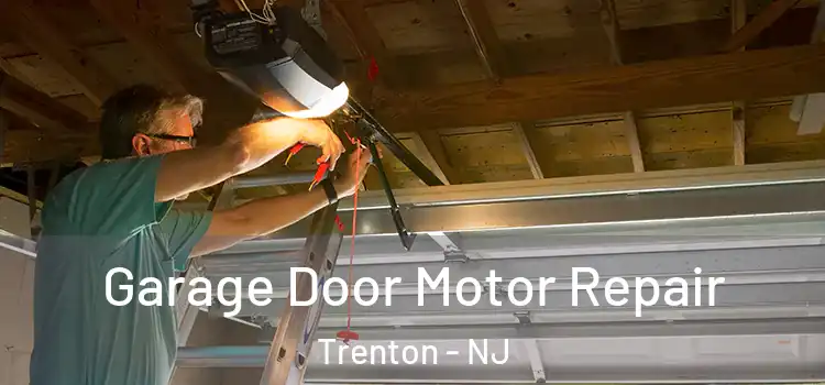  Garage Door Motor Repair Trenton - NJ