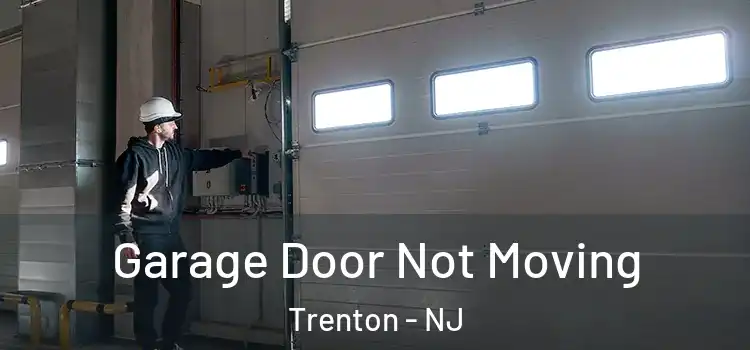  Garage Door Not Moving Trenton - NJ