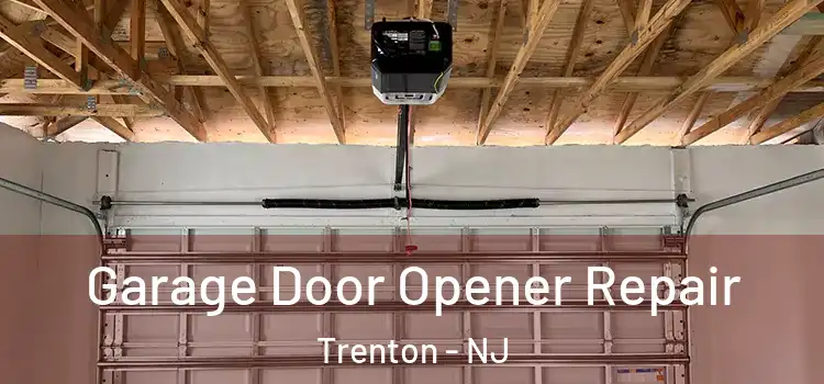  Garage Door Opener Repair Trenton - NJ