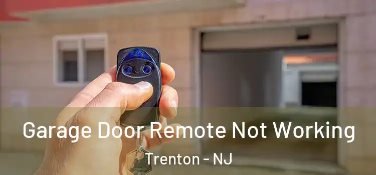 Garage Door Remote Not Working Trenton - NJ