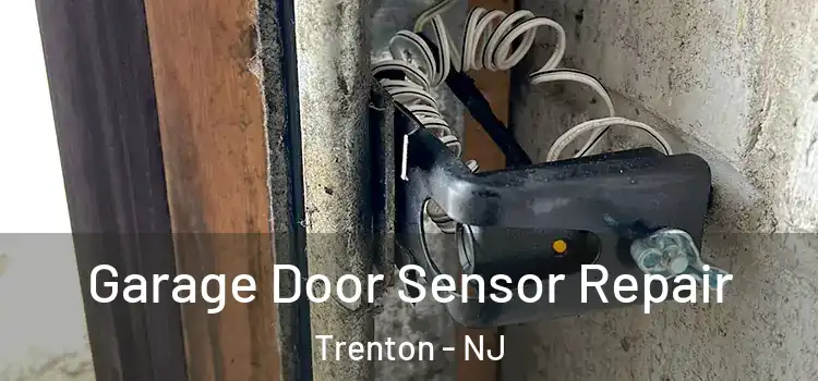  Garage Door Sensor Repair Trenton - NJ
