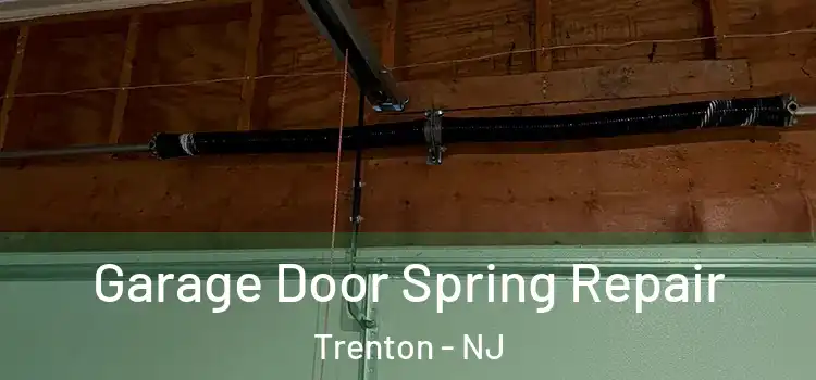  Garage Door Spring Repair Trenton - NJ