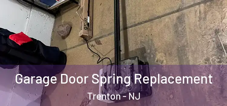  Garage Door Spring Replacement Trenton - NJ