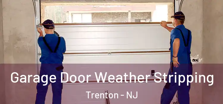  Garage Door Weather Stripping Trenton - NJ
