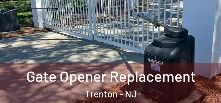 Gate Opener Replacement Trenton - NJ