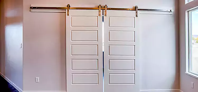 Glass Barn Door with Installation Hardware Kit Trenton