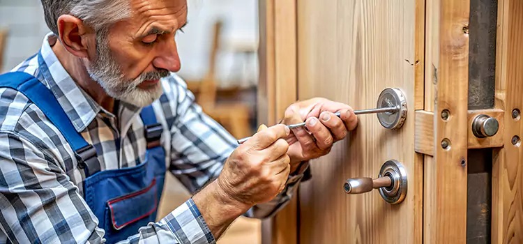 Mortise Replacement Lock Trenton