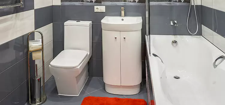 Hansgrohe Shaving Mirror Trenton