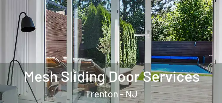  Mesh Sliding Door Services Trenton - NJ