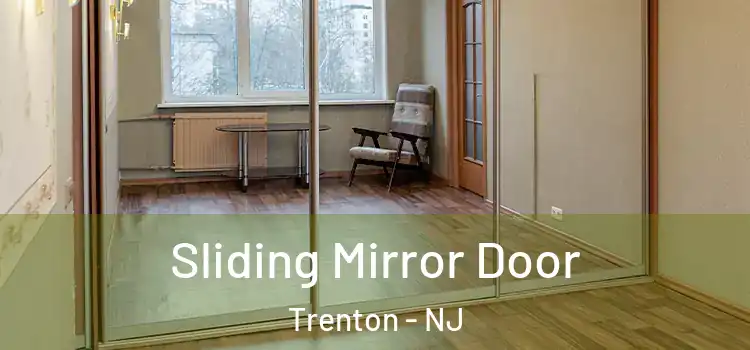  Sliding Mirror Door Trenton - NJ