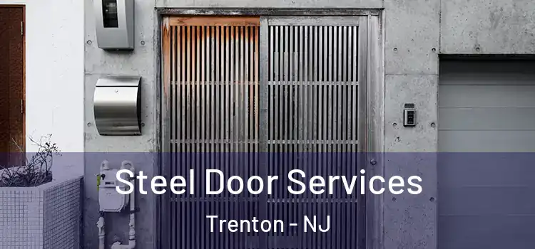  Steel Door Services Trenton - NJ